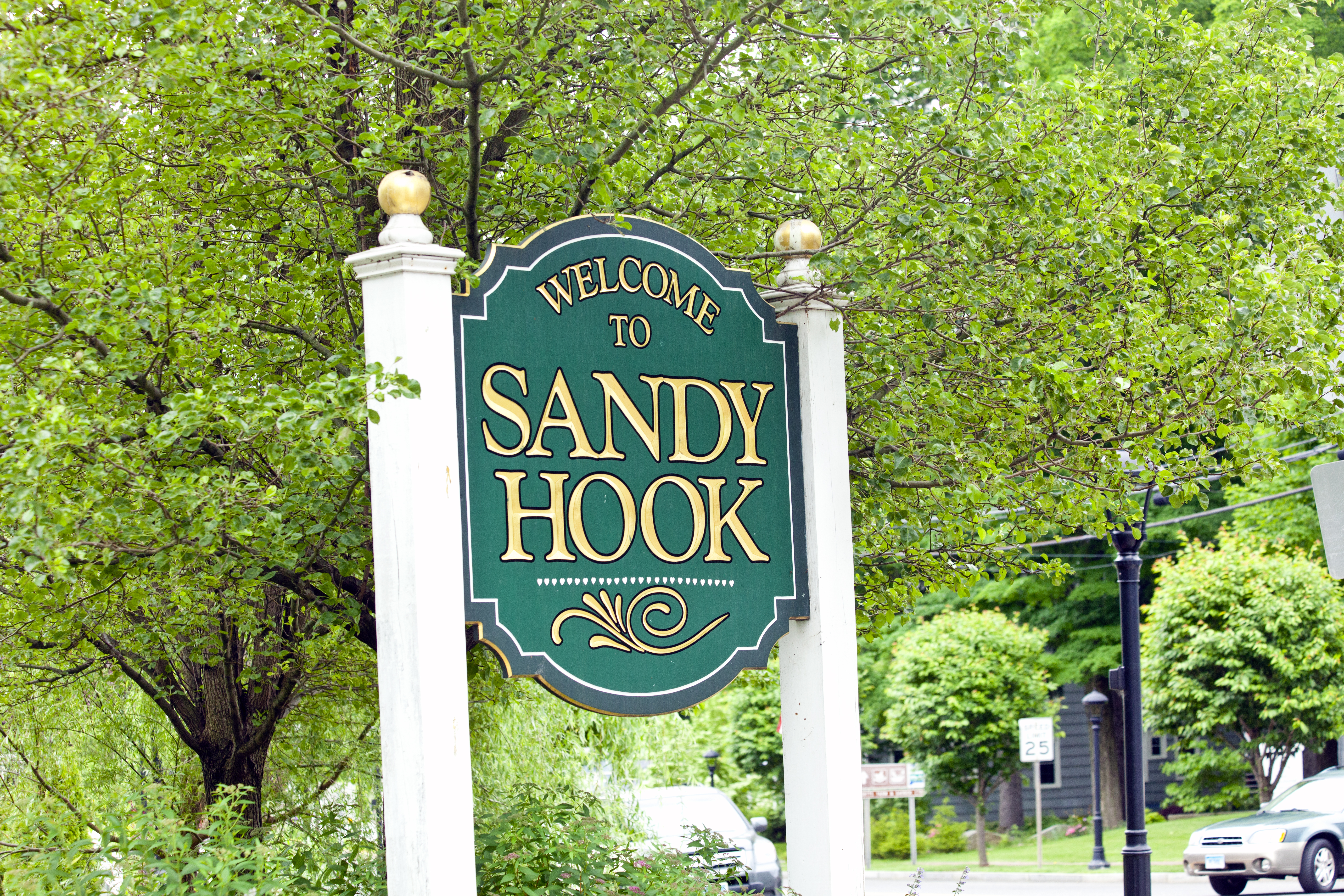 sandy hook lessons