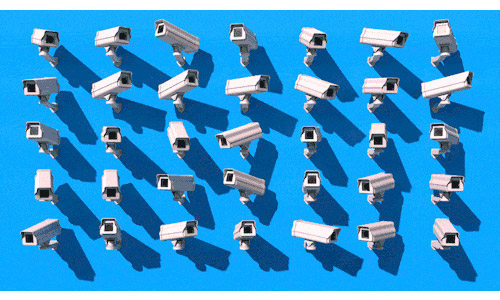 Mass Video Surveillance