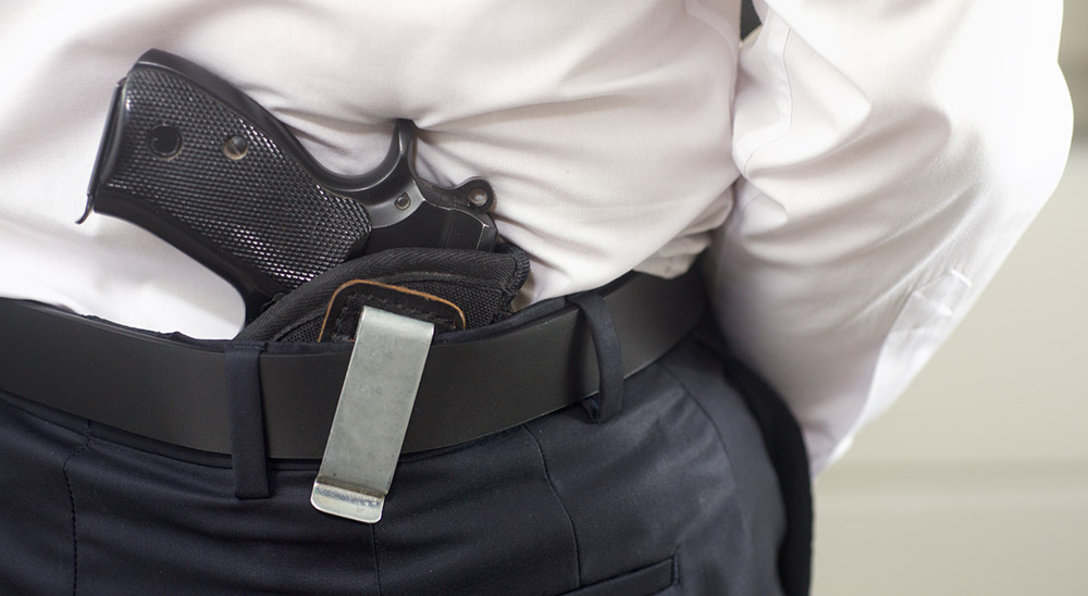 Armed Security Officers