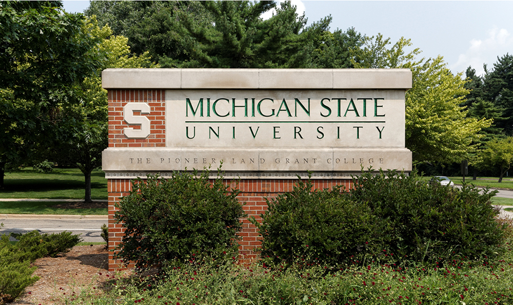 MSU Title IX Report