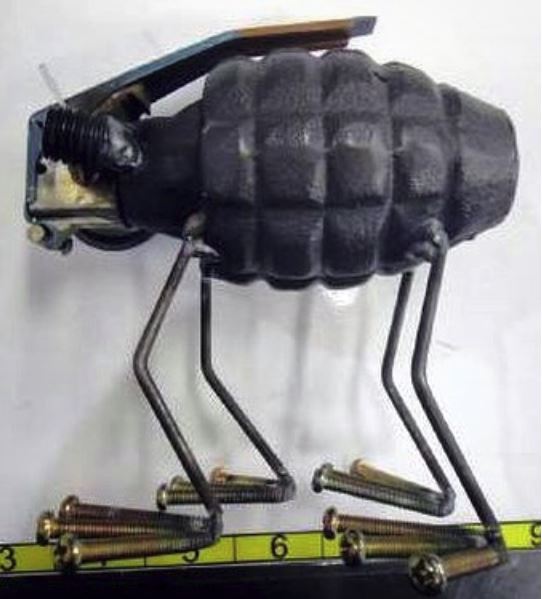 11 Bizarre Objects Discovered by Airport Security, slide 4