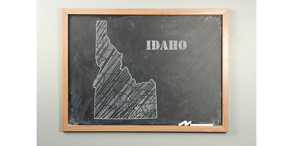 University of Phoenix, University of Idaho, U of I
