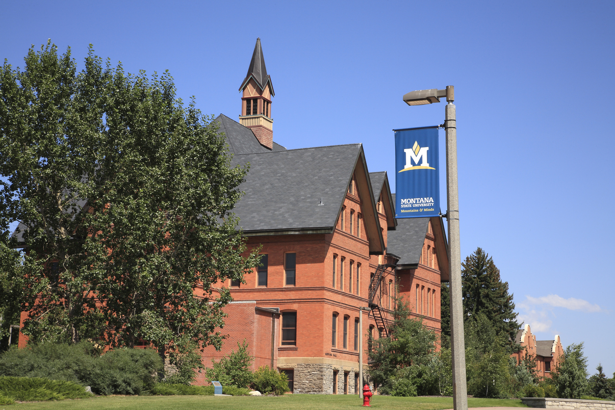 Montana State University