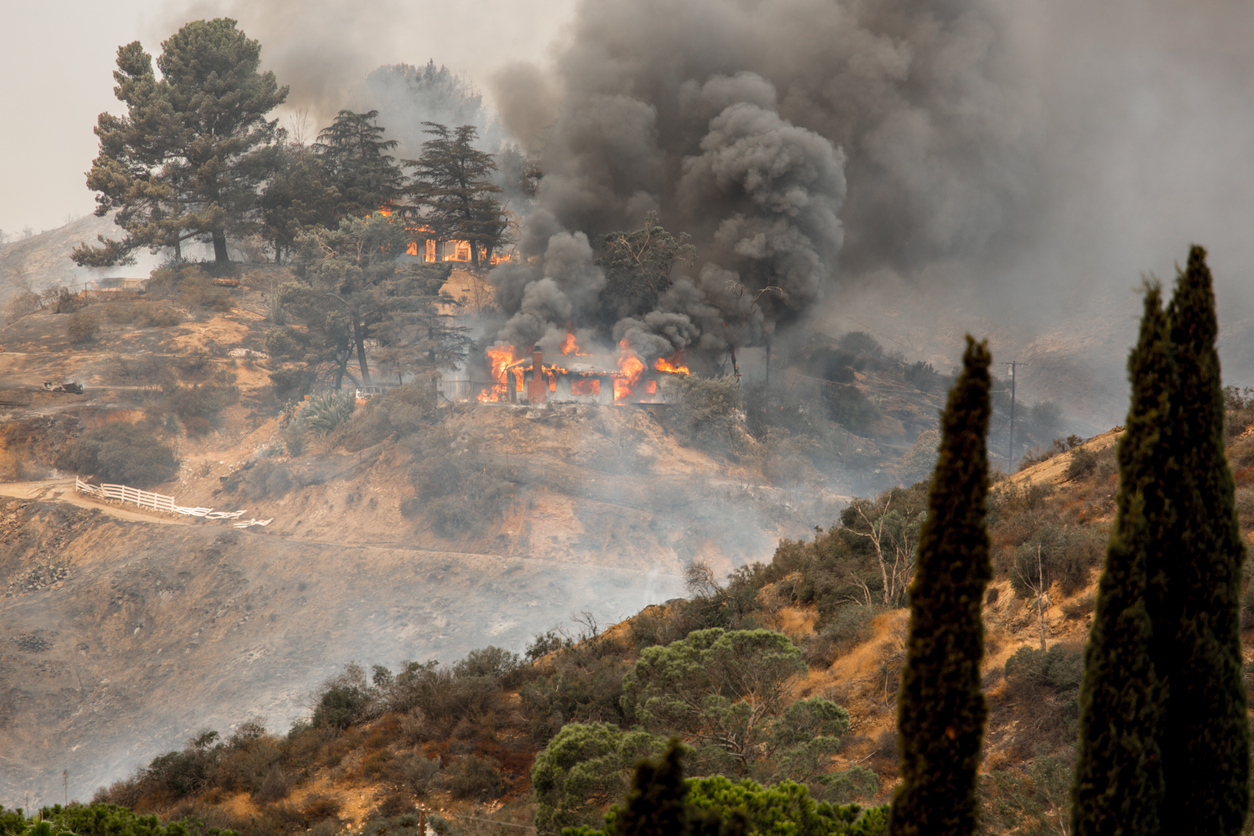 California Camp Fire