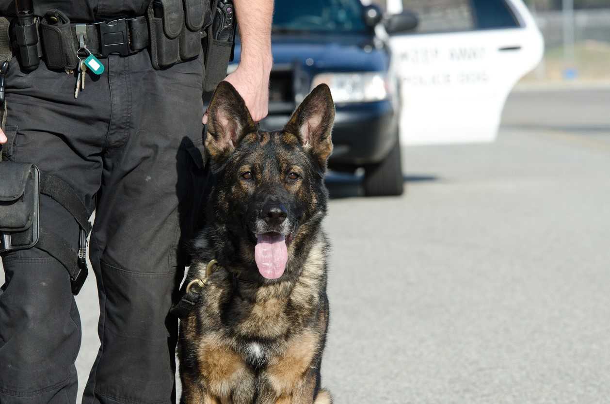 Penn State Police