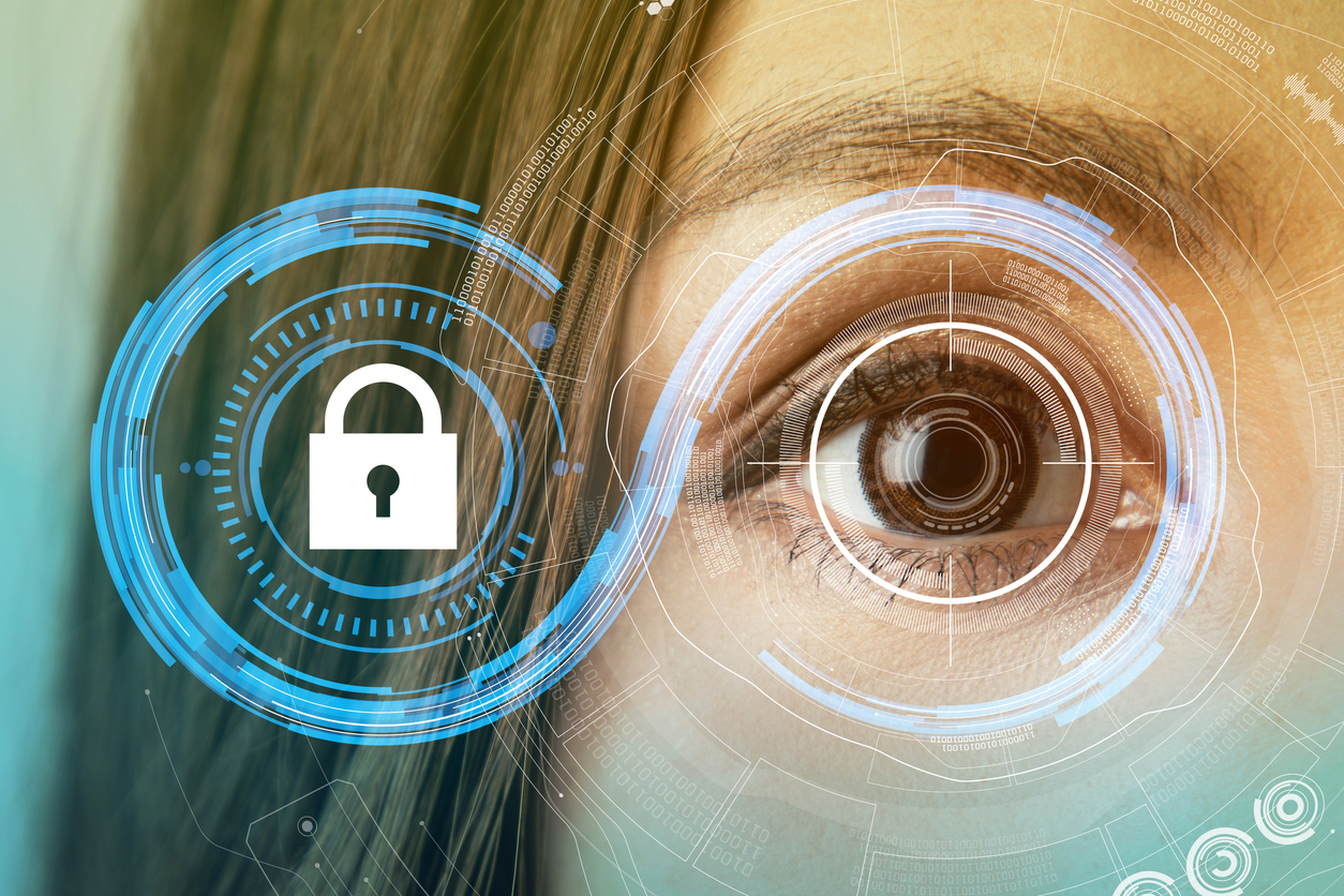 iris recognition