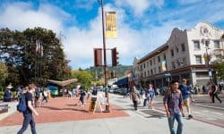 Read: Video: Conservative Activist Attacked on UC Berkeley Campus