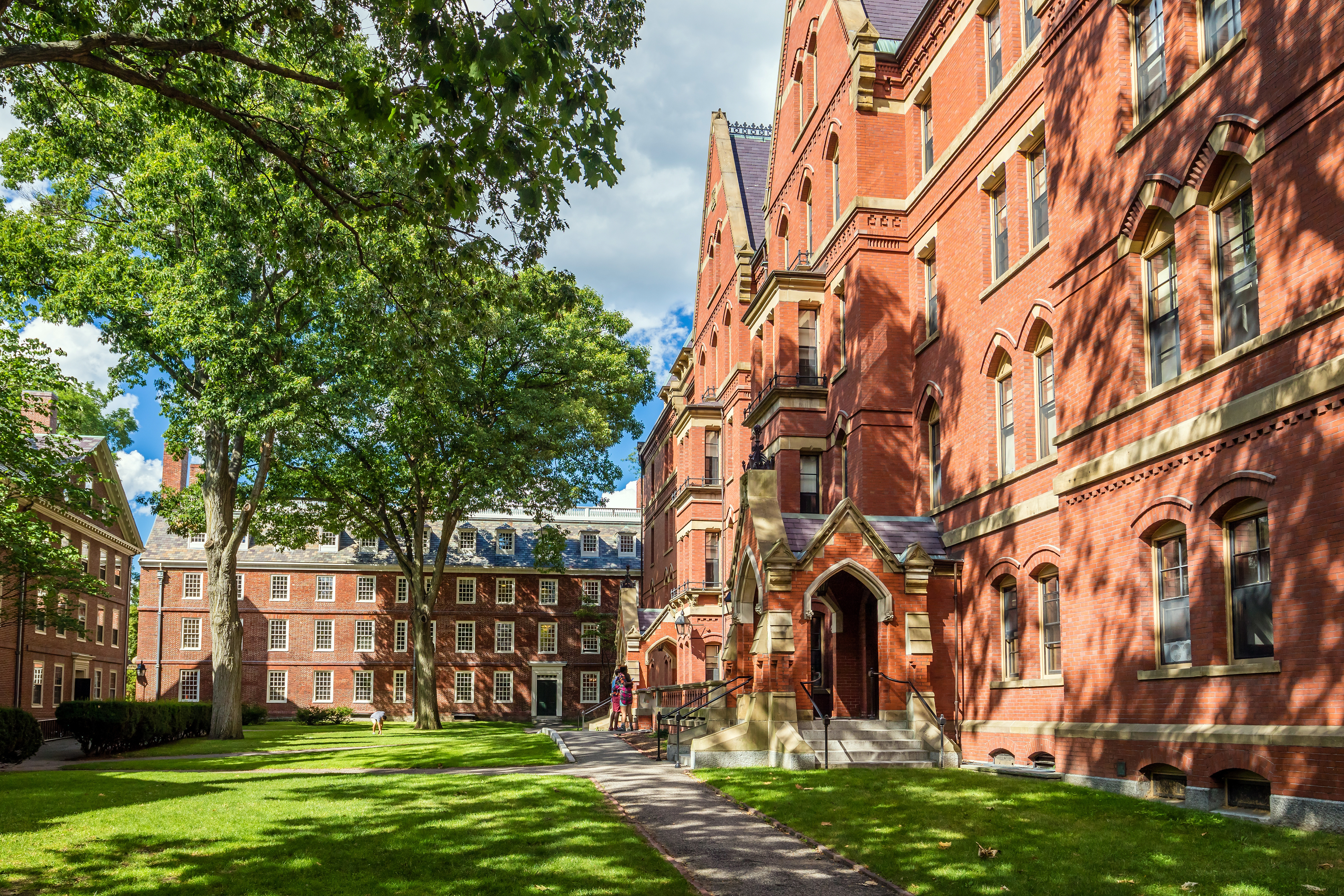 harvard university
