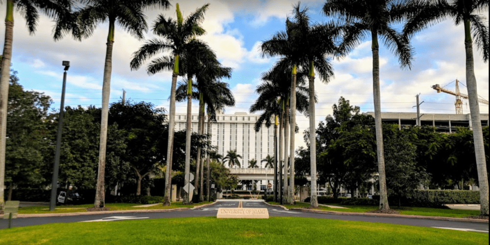 U of Miami Weather Stations Provide Accurate Forecasting on Campus