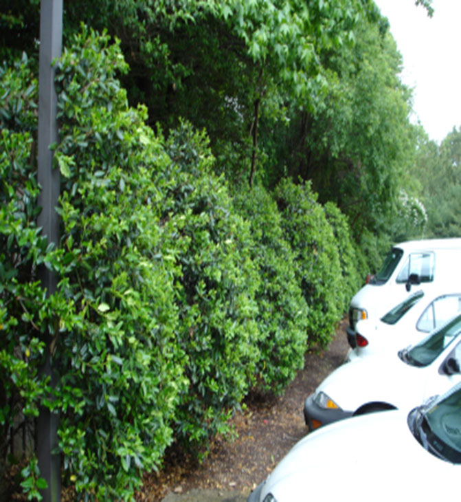 Don’t Make These 10 Campus Security Mistakes, slide 4