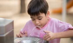 Read: More than 100 Pennsylvania Schools Have Lead in Their Drinking Water