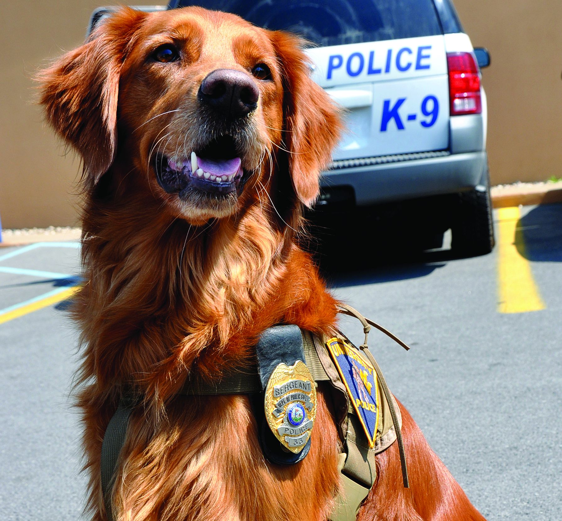 Campus Safety’s Favorite K9s, slide 17