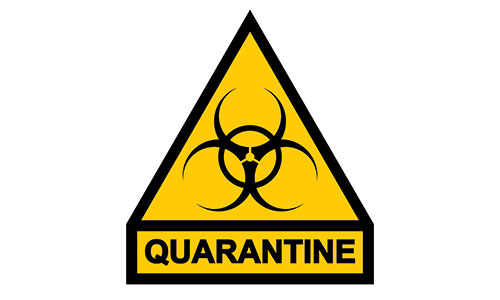 coronavirus quarantine
