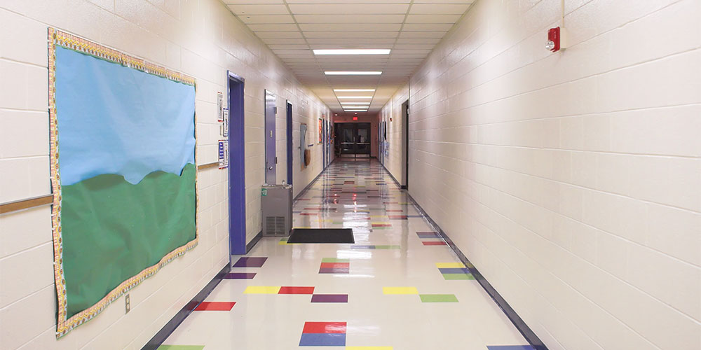 waverly school