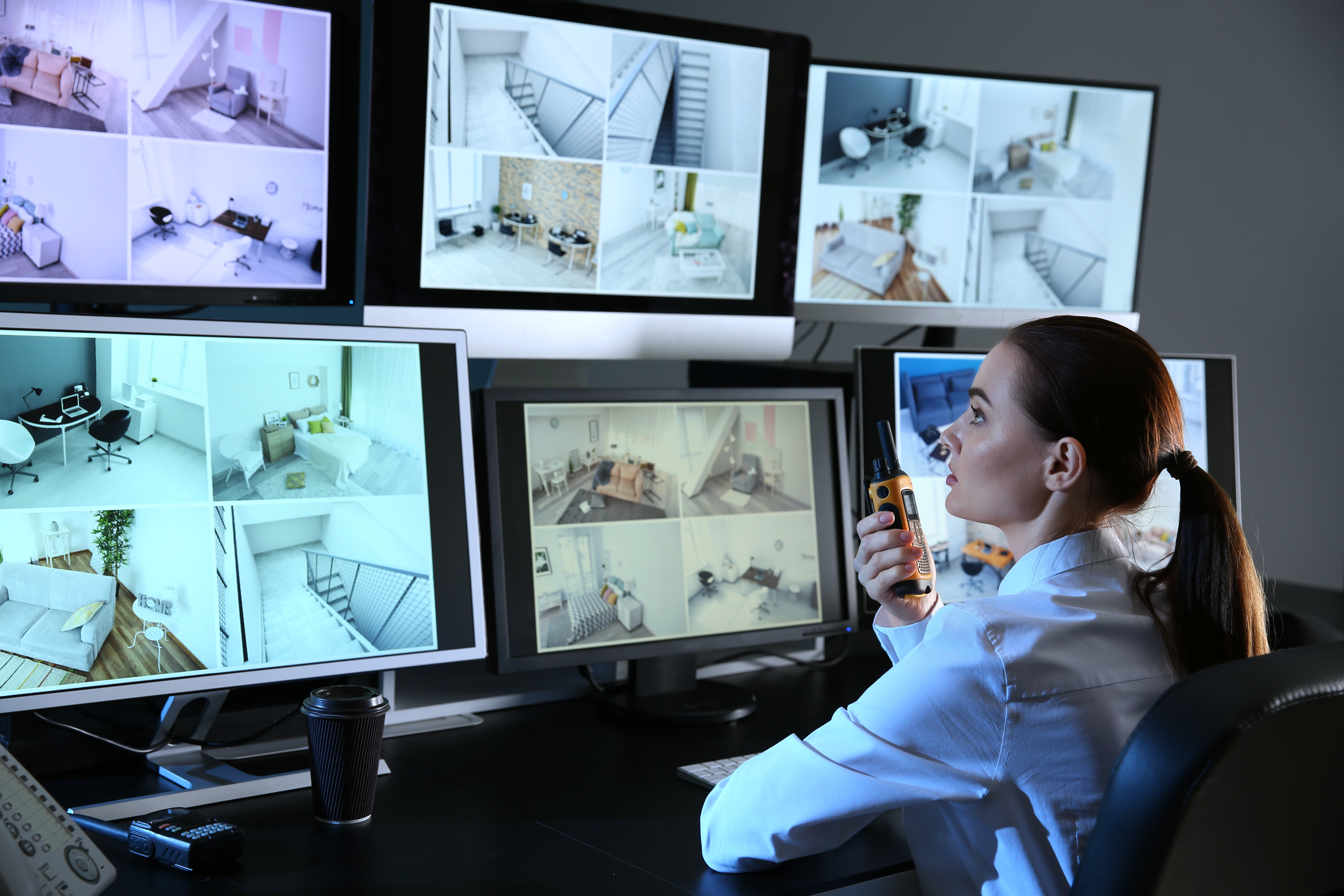 cameras, video surveillance