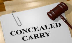 Whitehouse ISD Board Approves Arming Teachers