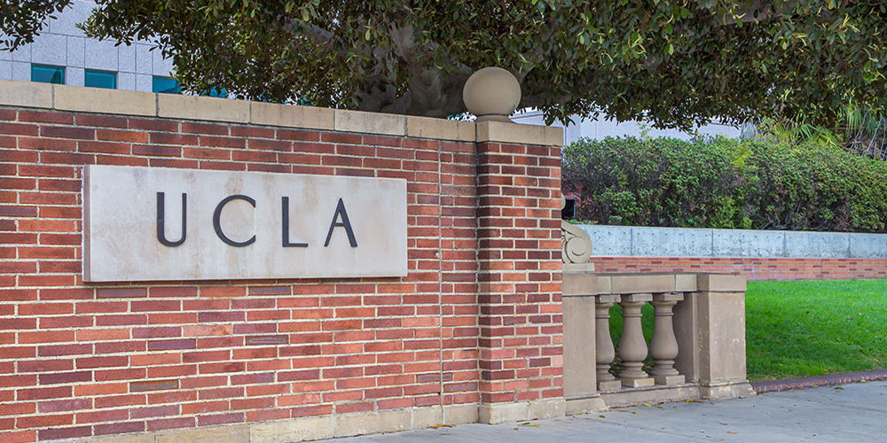 UCLA Cardiologist