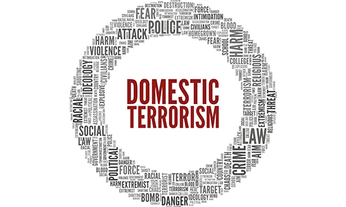 domestic terrorism