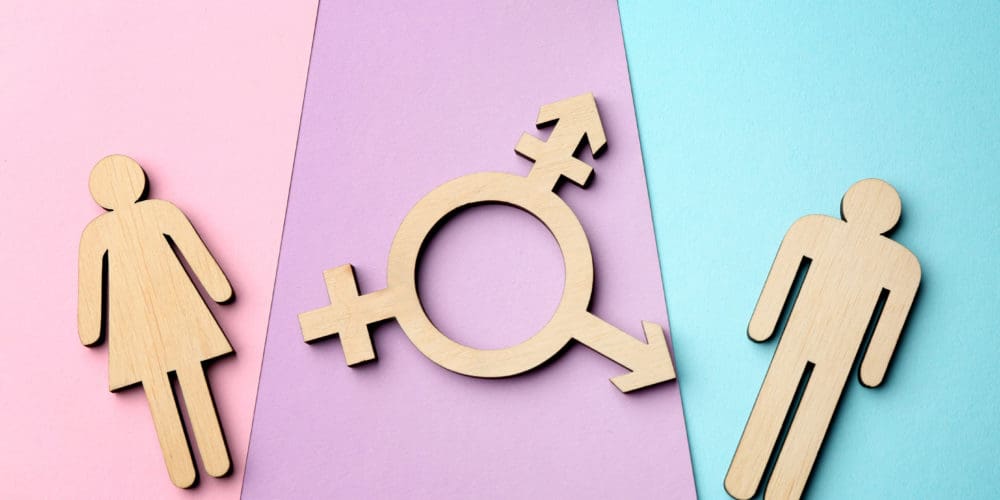 Law Banning Transition Care of Transgender Children Has Families Leaving Arkansas