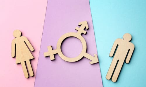 Law Banning Transition Care of Transgender Children Has Families Leaving Arkansas