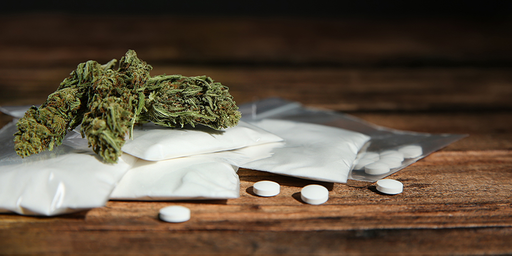 survey marijuana hallucinogen