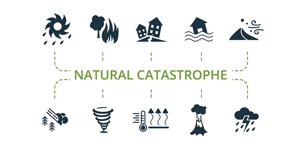 Planning for Natural Disasters