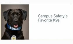 Read: Campus Safety’s Favorite K9s