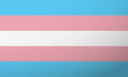 Transgender Teen Removed from Class, Questioned by Texas Child Welfare Investigator