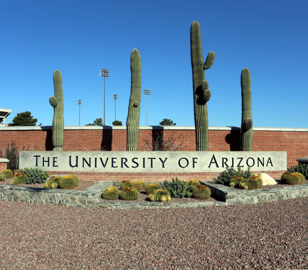 shooting, University of Arizona, UA