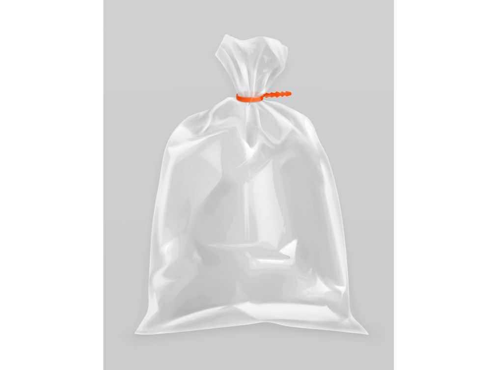clear bags, backpack