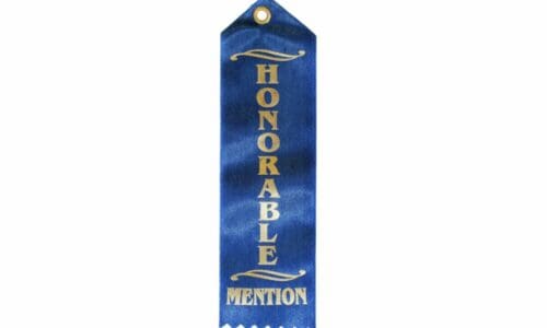 2023 BEST Awards Honorable Mentions