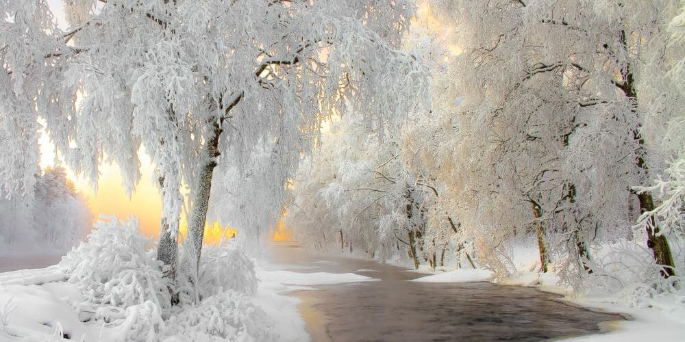 Winter Weather Preparedness 101: Are You Ready?