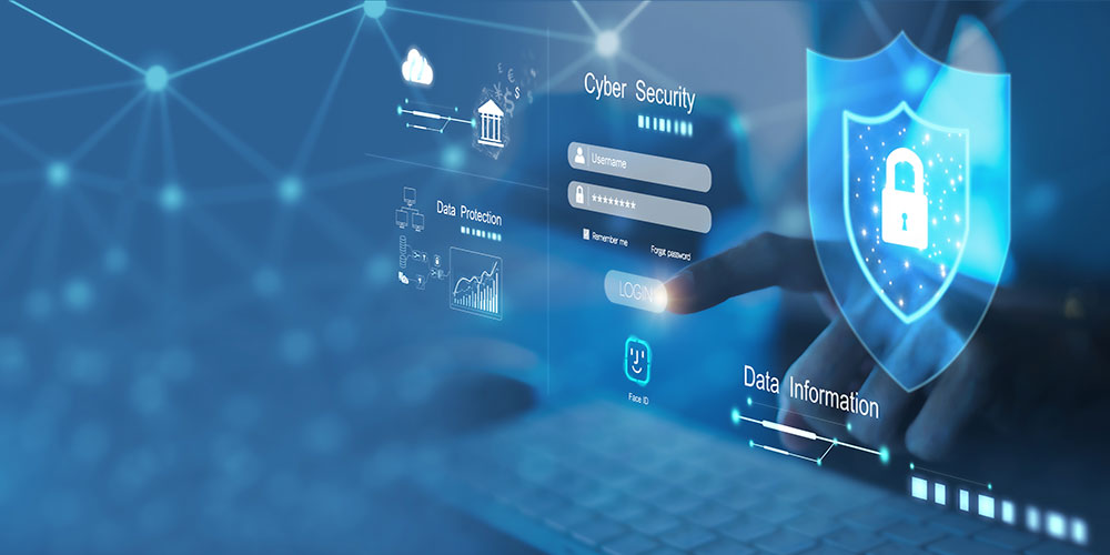 limit cyber risk