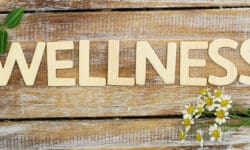 Student Health and Wellness Critical to Ensuring Safe Schools