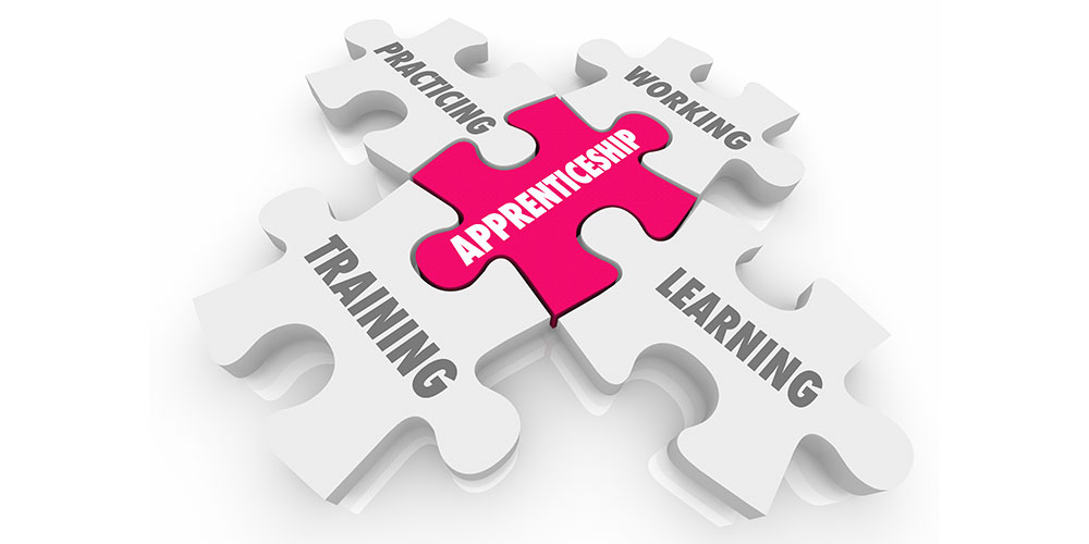 Systems Integration Apprenticeship