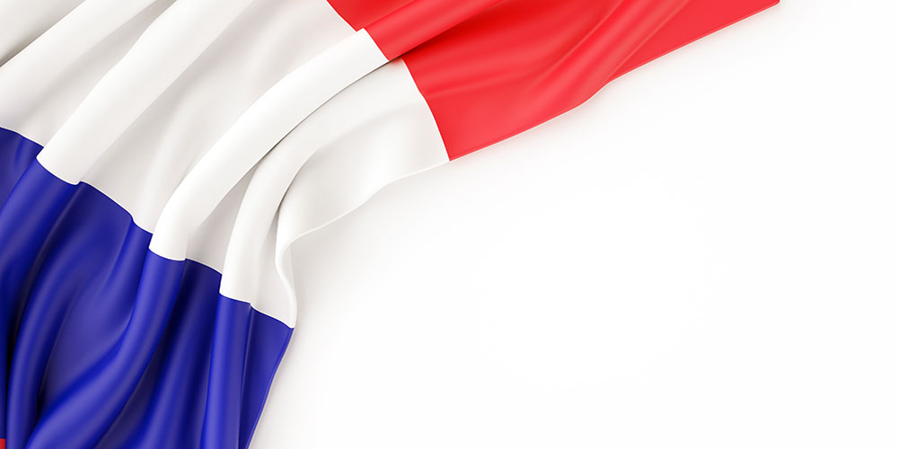 Stabbing of Teacher in France