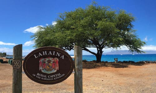 Lahaina Schools