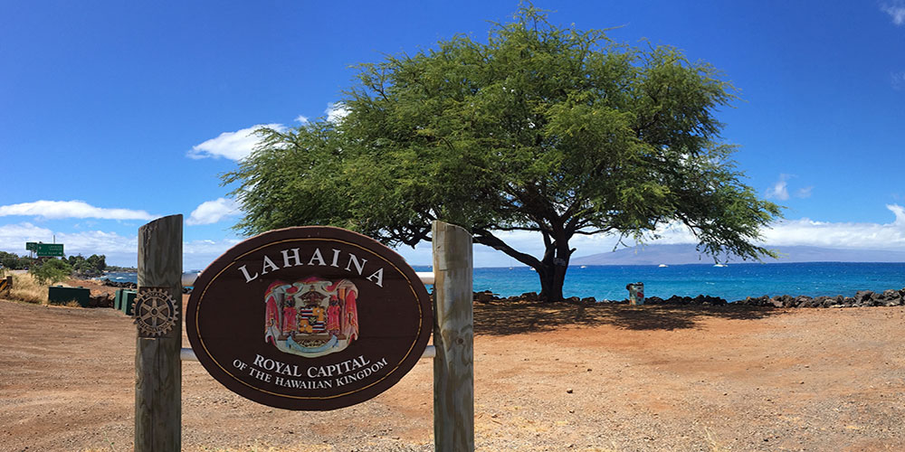 Lahaina Schools