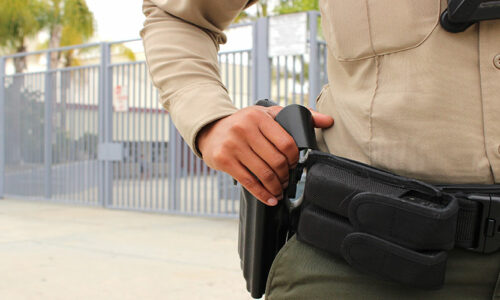 Law Enforcement in Schools
