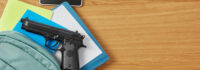 School Shooting Deaths Increased