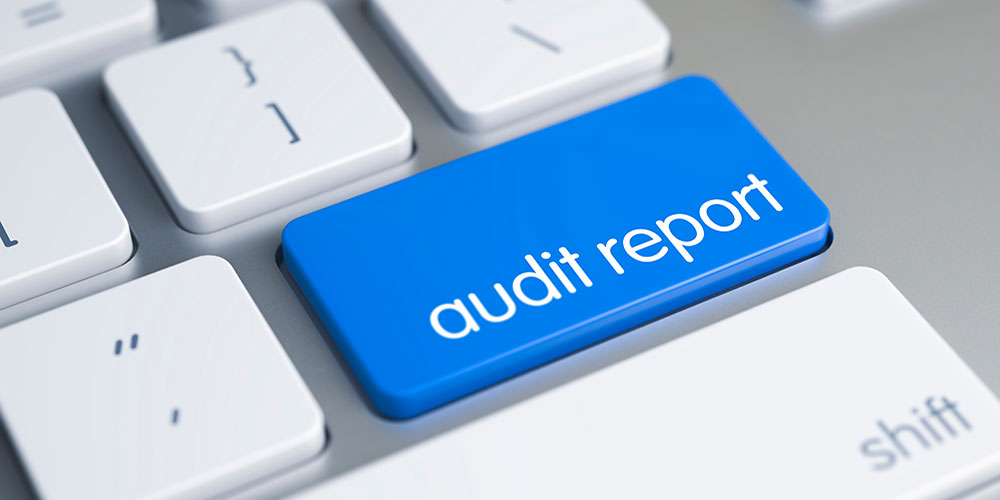 Texas School Intruder Detection Audits