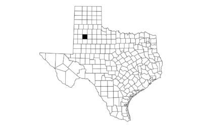 Ransomware Attack Forces Texas Level 1 Trauma Center to Divert Patients
