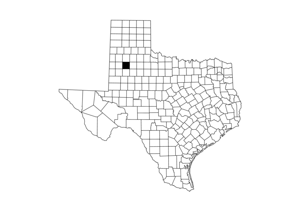 Ransomware Attack Forces Texas Level 1 Trauma Center to Divert Patients, University Medical Center Health System, UMC
