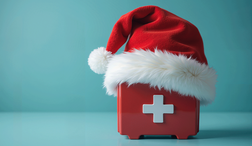 Gift Guide Safety Geek