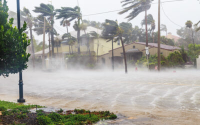 The 9 Most Significant U.S. Weather-Related Power Outages of 2024