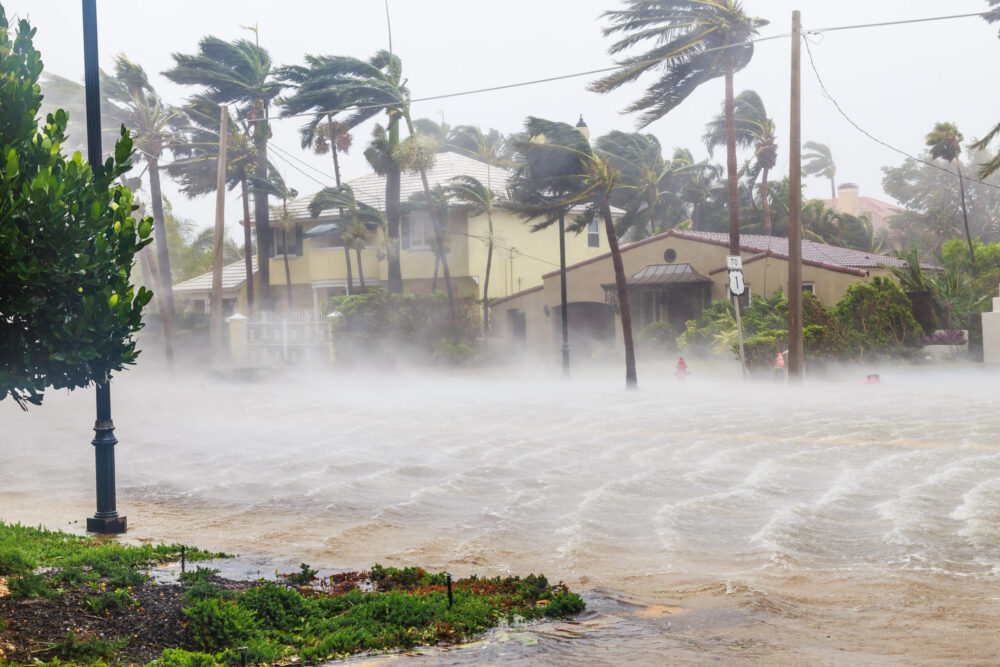 9 Most Significant U.S. Weather-Related Power Outages of 2024, hurricanes, storms, electricity, Eaton, Helene, Milton, Beryl, nor'easter