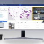 Enhancing Campus Safety with Insight LPR, license plate recognition, MX Defender, Desiree McCarthy, campus security