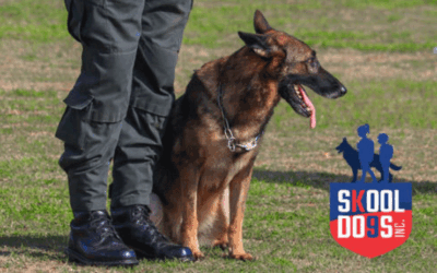 Revolutionizing School Safety: Skool Dogs K9 Heroes in Action