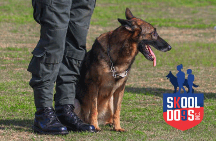 Skool Dogs K9