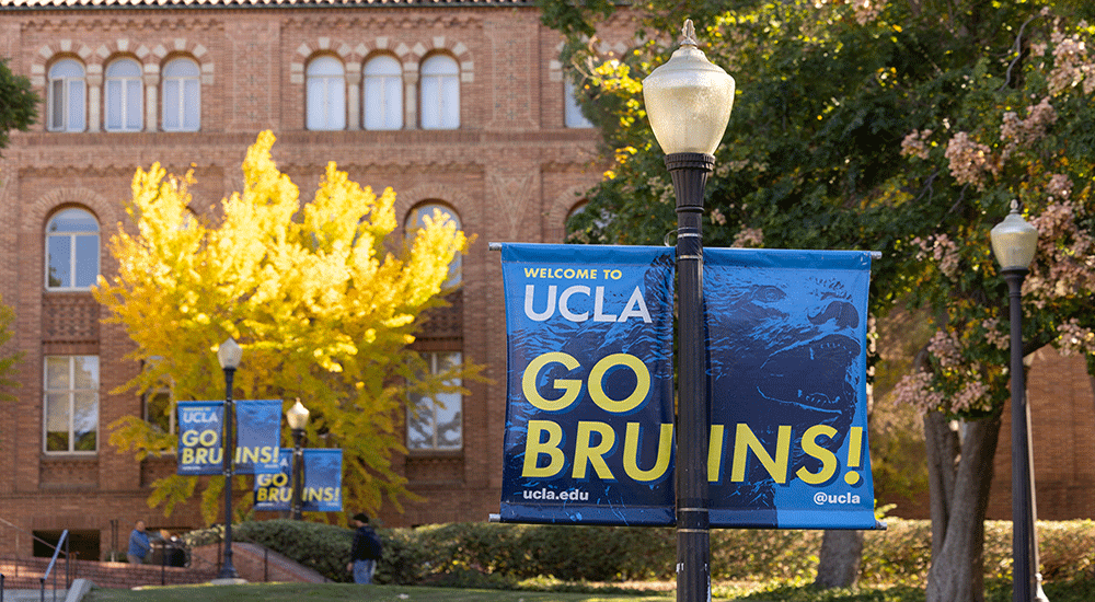 UCLA Pro-Palestine Student Groups